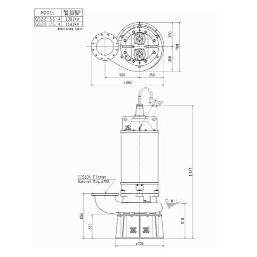 Submersible Dewatering Pumps GSZ2-55 | National Flow Systems